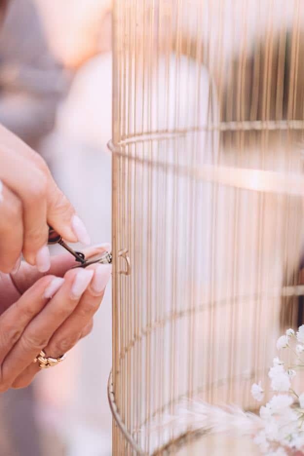 IMG_20251109_110412_287